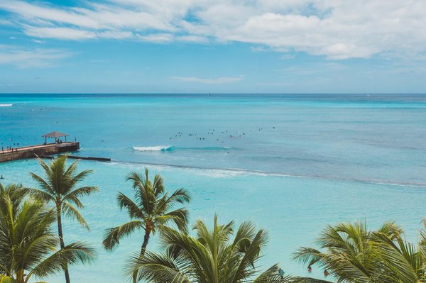 Quels sont les meilleurs spots pour une plongée avec les requins en Afrique du Sud?